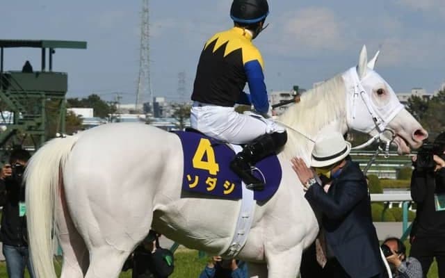 【オークス見どころ】白毛ソダシが無敗2冠制覇に挑む