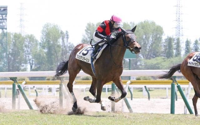 【新潟3R】ドリームジャーニー産駒 シンシアリダーリンが初勝利