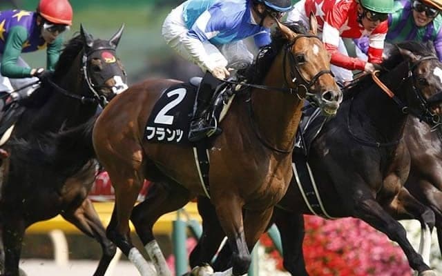 【メイSハンデ確定】フランツは55.0kg、サトノクロニクルは56.0kg