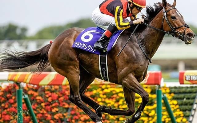 【ヴィクトリアマイル回顧】血の非凡さを証明したディープ産駒の女傑グランアレグリア/栗山求