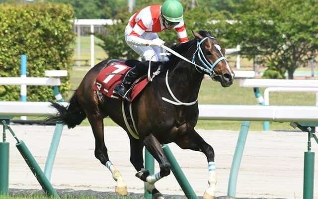 【京都ハイジャンプ】売上は4億9644万7000円で昨年から増加