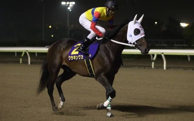 【門別競馬情報】“ぶっつけ”の北斗盃H2制覇で三冠へ視界良好かラッキードリーム！今夜メインは重賞3着クラキングスらに注目「アドマイヤムーン賞」/地方競馬情報