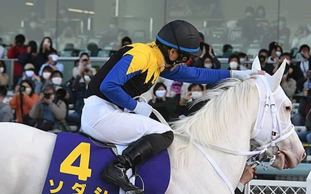【独占・吉田隼人騎手】人生を変えたソダシの存在「叶うのなら…繁殖に上がるまでずっと一緒に」