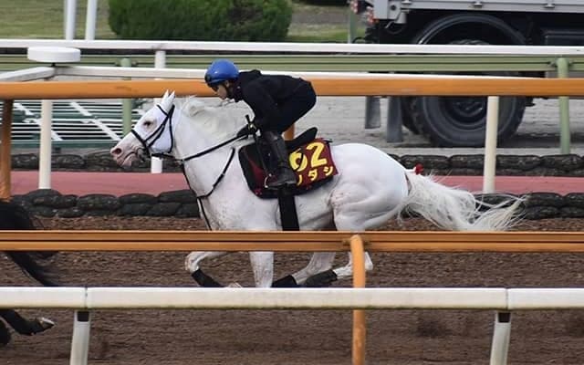 【オークス予想オッズ】ソダシが単勝1.8倍で予想1番人気に