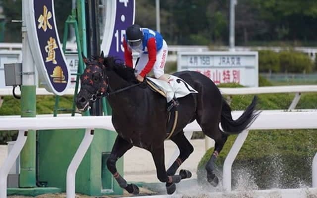 デビュー時ですでにキタサンブラック超え！ 2連勝を果たした615kg(＋55kg)の超大型馬/大恵陽子