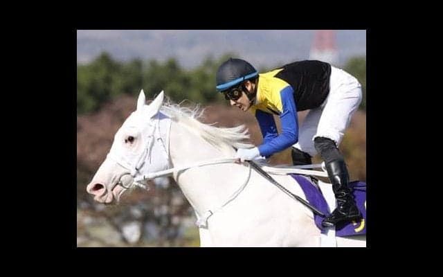 オークスはソダシに不安材料あり。母仔制覇を狙う娘が差し切るか