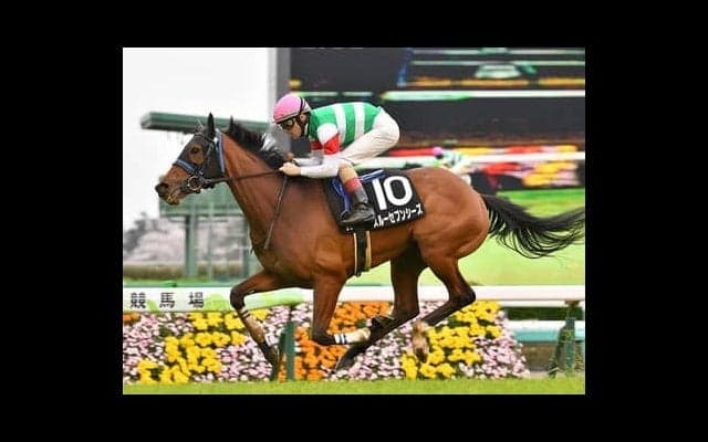 オークスのカギは決め手。穴党の女神たちが推すソダシを脅かす３頭