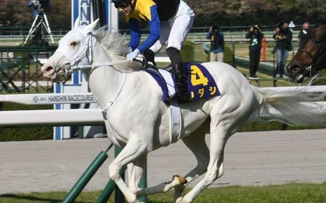 【オークス予想】距離適性に疑問の声も 厩舎データが示すソダシの評価/JRAレース展望