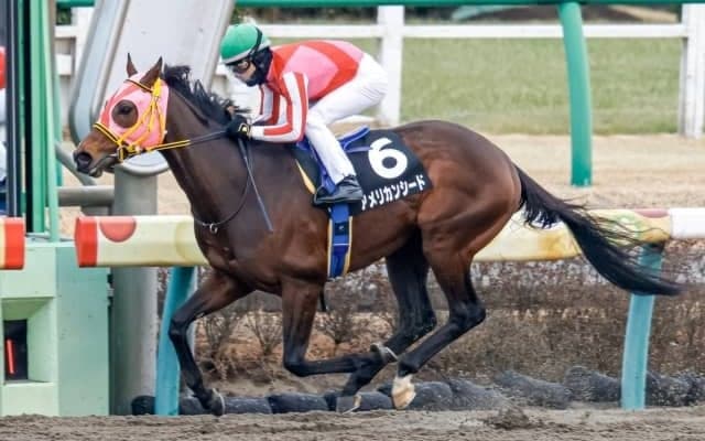 【平安S枠順確定】アメリカンシードは大外8枠16番、オーヴェルニュは3枠5番