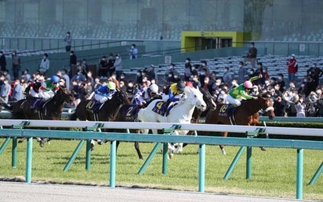 【オークス】ソダシは6枠11番