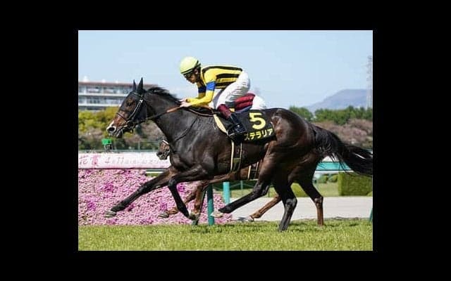 オークスも無敗のソダシが有力。相手は勝負づけが済んでいない別路線組