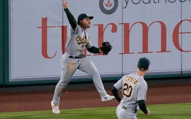 【MLB】エンゼルスの同点弾“強奪”　完璧HRキャッチに米ファン興奮「ゴールドグラブあげて」