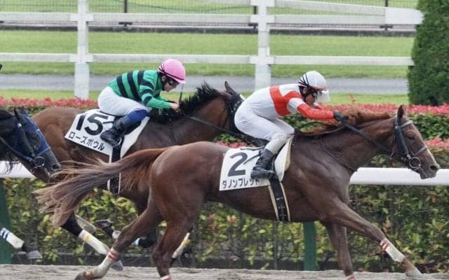 【東京6R】2番人気 ダノンブレットが2勝目