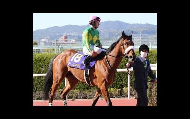 ダービー挑戦を決めたサトノレイナス。ルメール騎手は「何の不安もない」