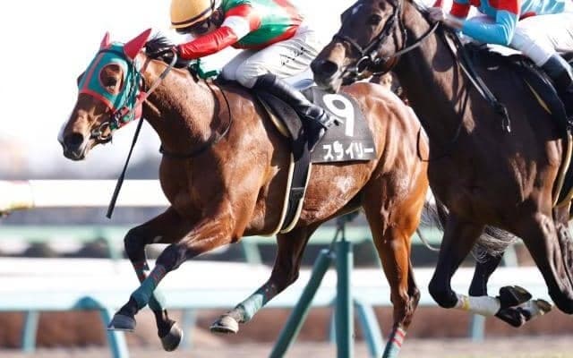 【オークス予想】人気薄好走の歴史にはウラがある？狙いは「前走ステップレース好走型の6番人気以下」だ！