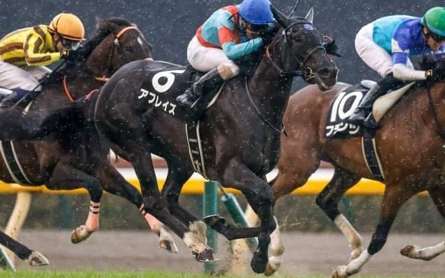 【メイS結果】紅一点アブレイズが競り合いを制す　1年2か月ぶりのV
