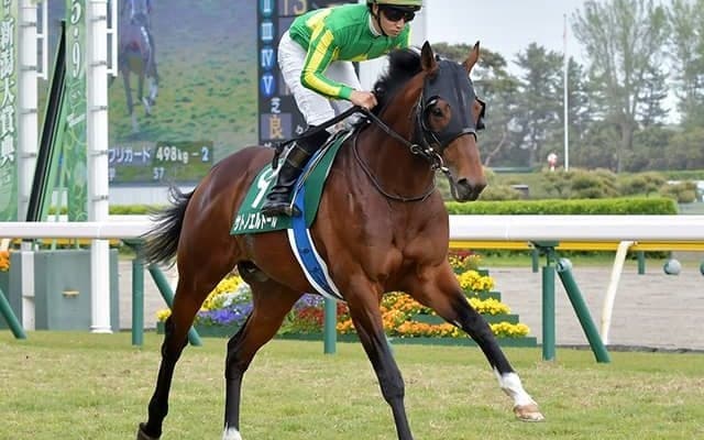【JRA】春の新潟リーディングは菅原明良騎手「関係者の皆様のサポートがあってこそ」