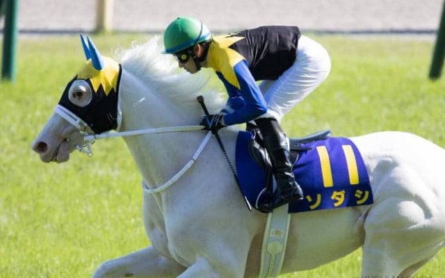 【オークス】吉田隼「展開も厳しかった」白毛馬のヒロイン・ソダシは完敗