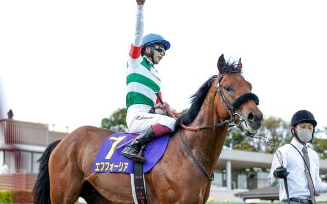 【日本ダービー見どころ】エフフォーリアが無敗クラシック2冠を目指す