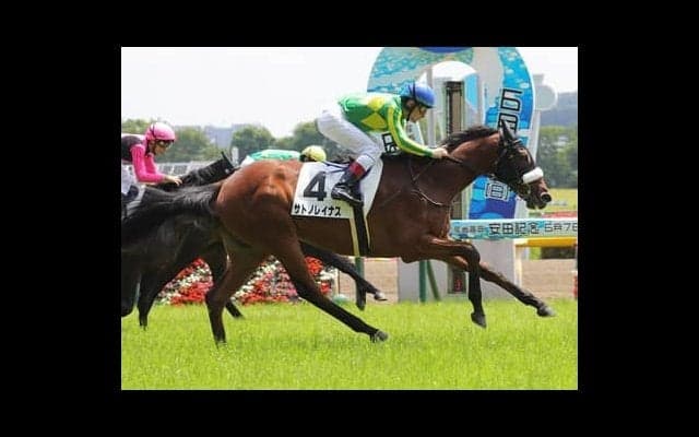 サトノレイナス、日本ダービーの勝算は？　国枝栄調教師にズバリ手応えを聞いた