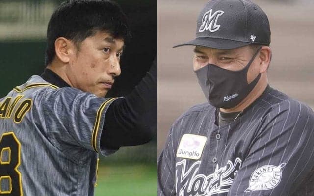 「優勝候補は阪神とロッテ」　球界OBが読み解く2年ぶりの交流戦の行方