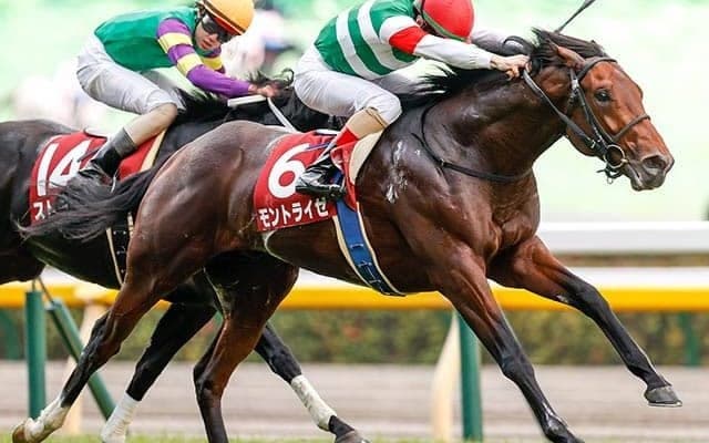 【葵S予想オッズ】モントライゼが単勝1.8倍で予想1番人気に