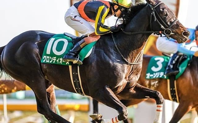 【目黒記念予想オッズ】グロンディオーズが単勝2.1倍で予想1番人気に