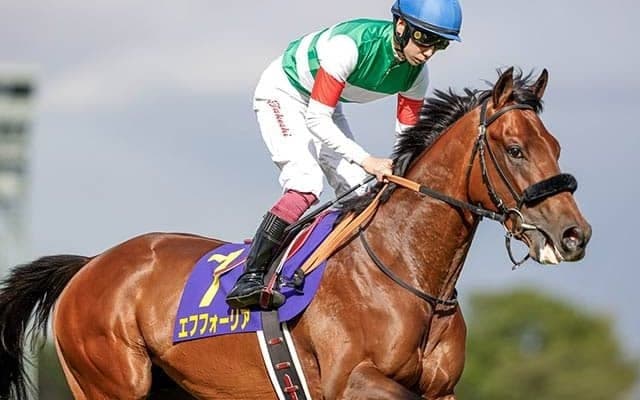【日本ダービー予想オッズ】エフフォーリアが単勝1.7倍で予想1番人気に