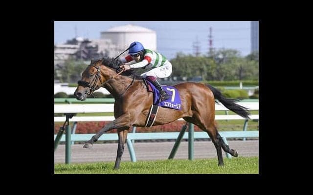 白熱の日本ダービーを読み解く「３歳牡馬番付」。今年はどんな快挙が？