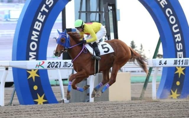 【門別競馬情報】期待馬が続々勝ち上がり！日本一早い2歳重賞「栄冠賞H2」まであと1ヵ月、特に注目の5頭をピックアップしてみました/地方競馬情報