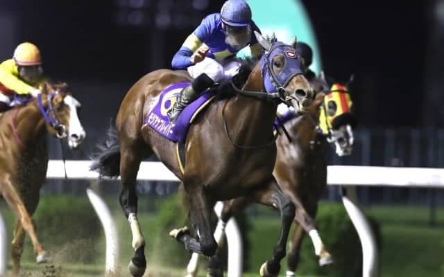 【川崎マイラーズ】出遅れも何のその、モジアナフレイバーが突き抜け完勝