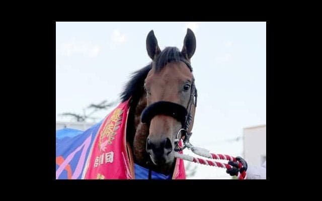 ダービーで２冠達成濃厚のエフフォーリア。急成長の１頭の逆転はあるか