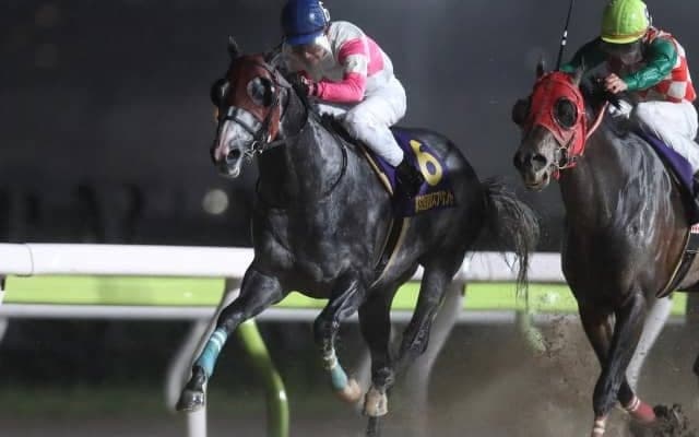 【門別競馬情報】「門別デビュー馬V」なるかJRAリュウノユキナ！前年覇者メイショウアイアンを筆頭に、レベル上がった地元勢も好勝負へ「第25回北海道スプリントカップJpnIII」/地方競馬情報