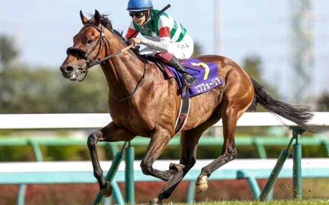 【日本ダービー枠順確定】エフフォーリアは1枠1番、サトノレイナスは8枠16番