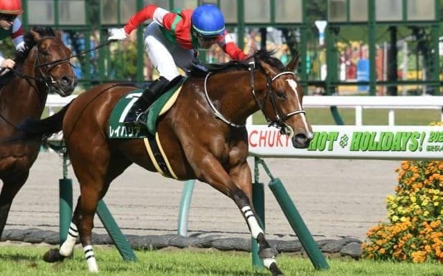 【葵S結果】13番人気レイハリアが3連勝　人馬ともに重賞初制覇