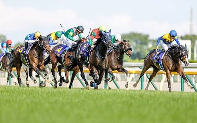 【JRA】6月の東京・中京・札幌競馬は指定席券の事前購入者のみ入場可能