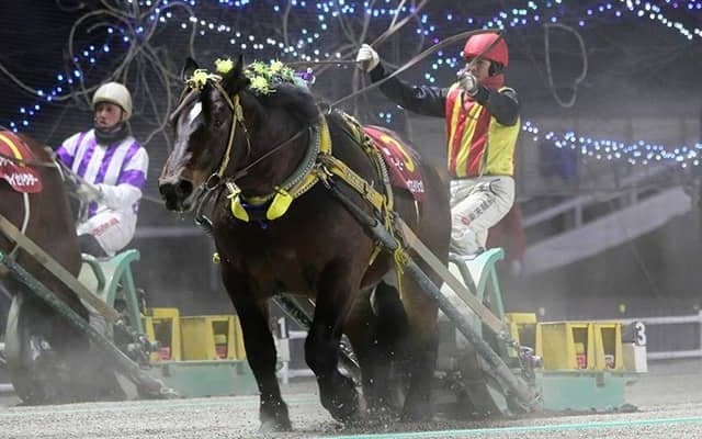 【地方競馬】ばんえい競馬の無観客開催が6月20日まで延長