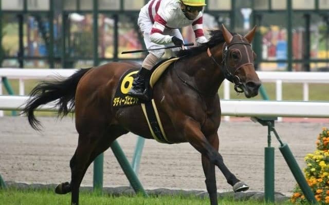 【本日の注目ポイント】中京で3歳スプリント重賞・葵S