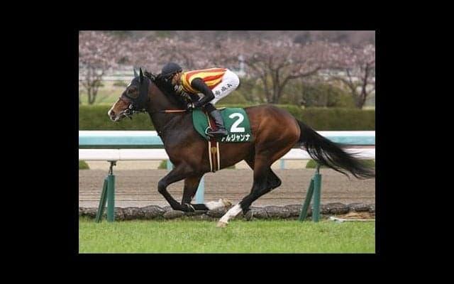 国枝調教師を興奮させたコマンドラインがデビュー「あの動き、見たか！」