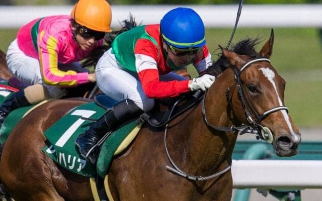 【葵S】亀田「祈るだけでした」レイハリアが重賞初制覇