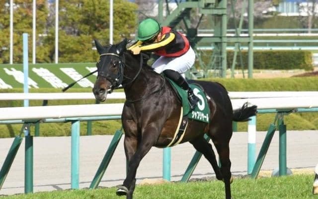 【日本ダービー予想】タイム指数では皐月賞のレベルに疑問あり？狙うは過去の名馬たちより高数値出ているあの馬だ！