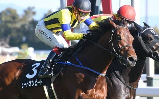 【目黒記念】ロングスパートが生かせる舞台で重賞初制覇に挑むヒートオンビート