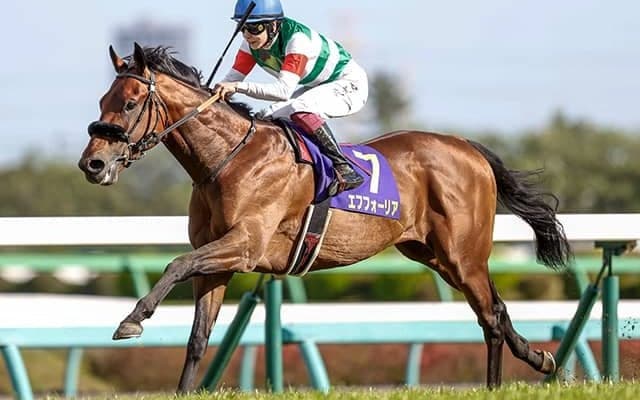 【日本ダービー】皐月賞で3冠級のポテンシャルは立証済みのエフフォーリア