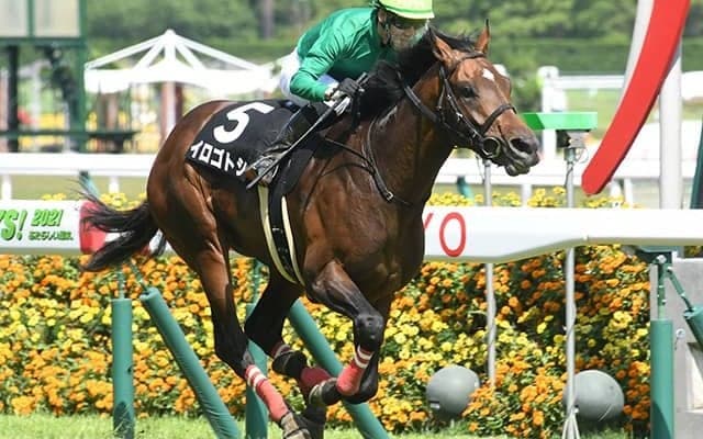 【揖斐川特別】熊本産馬ではJRA10年ぶり、イロゴトシが古馬特別戦で勝利飾る