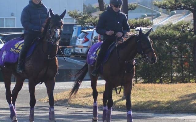 【日本ダービー】ヨーホーレイク友道師「東京の2400メートルが一番合っている」/ねぇさんのトレセン密着
