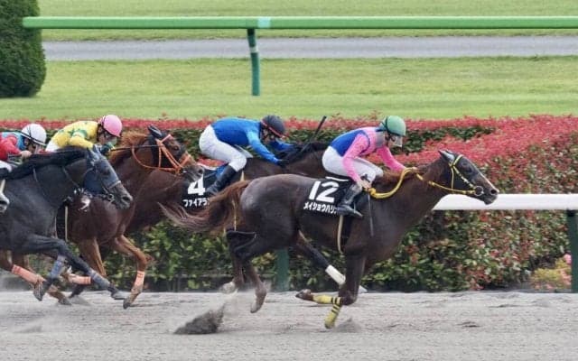 【薫風S】横山和生騎乗 メイショウハリオが差し切る
