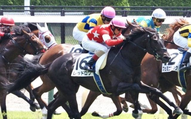 【東京4R】断然人気のレッドロワが初勝利