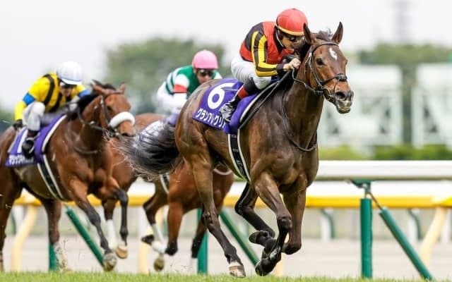 マイル女王の連覇なるか GI安田記念に注目/今週の競馬界の見どころ