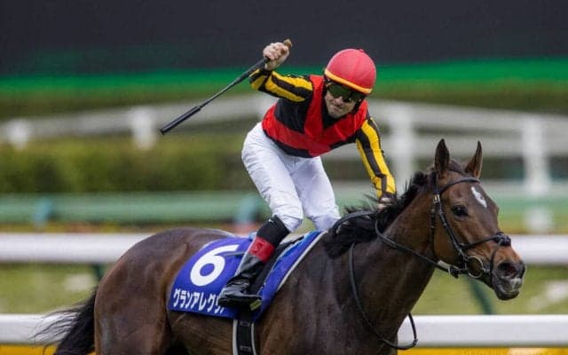 【安田記念登録馬】グランアレグリアなど15頭