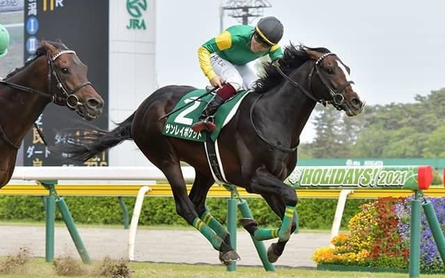 【鳴尾記念予想オッズ】サンレイポケットを中心に上位人気は混戦模様